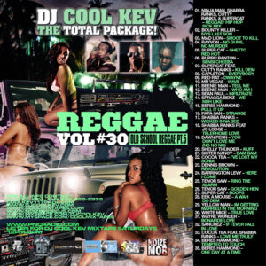 DJ Cool Kev - REGGAE 30, Reggae, Dancehall Reggae, Throwback Reggae, Mixtape Downloads, Downloads