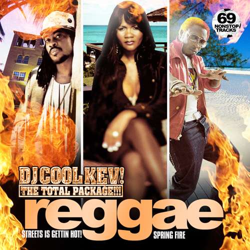 DJ Cool Kev – REGGAE 33, Reggae, Dancehall Reggae, Throwback Reggae, Mixtape Downloads, Downloads